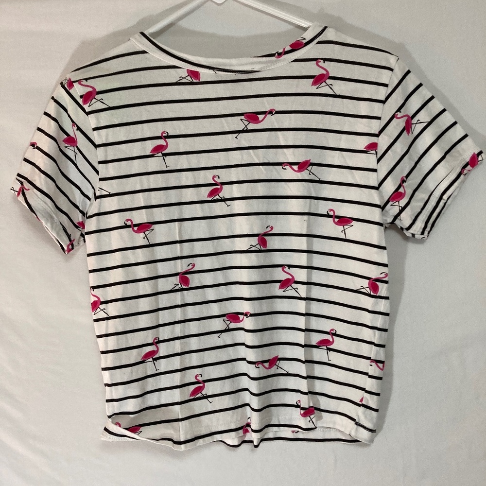 🦩Flamingo T-shirt